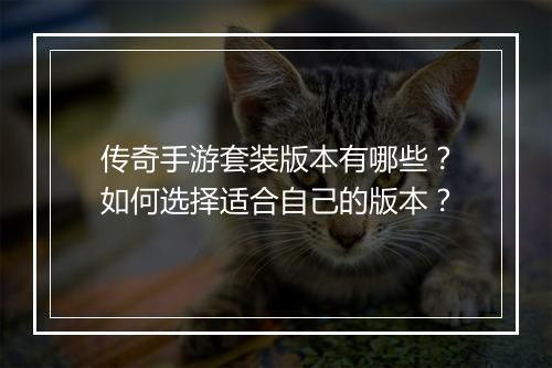 传奇手游套装版本有哪些？如何选择适合自己的版本？