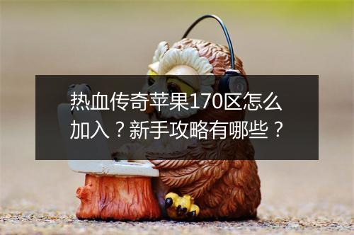 热血传奇苹果170区怎么加入？新手攻略有哪些？
