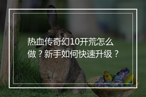 热血传奇幻10开荒怎么做？新手如何快速升级？