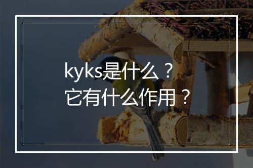 kyks是什么？它有什么作用？