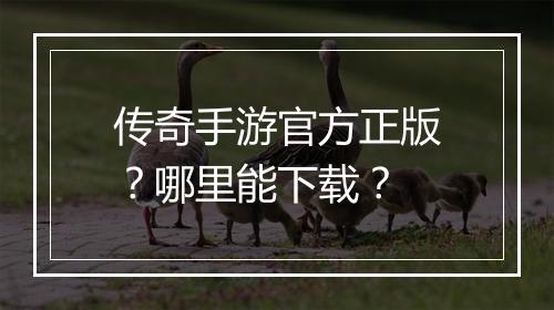 传奇手游官方正版？哪里能下载？