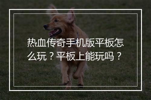 热血传奇手机版平板怎么玩？平板上能玩吗？