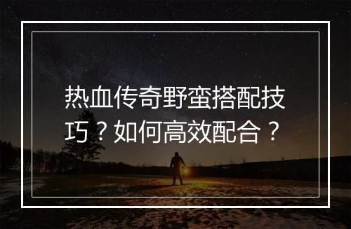 热血传奇野蛮搭配技巧？如何高效配合？