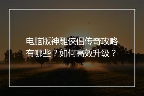 电脑版神雕侠侣传奇攻略有哪些？如何高效升级？