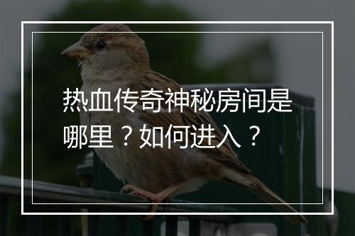 热血传奇神秘房间是哪里？如何进入？