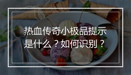 热血传奇小极品提示是什么？如何识别？