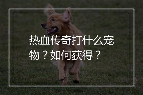热血传奇打什么宠物？如何获得？