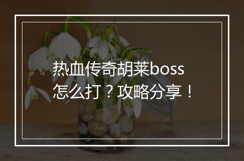 热血传奇胡莱boss怎么打？攻略分享！