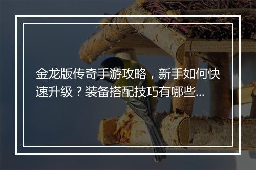 金龙版传奇手游攻略，新手如何快速升级？装备搭配技巧有哪些？