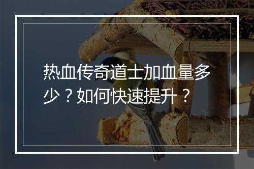 热血传奇道士加血量多少？如何快速提升？