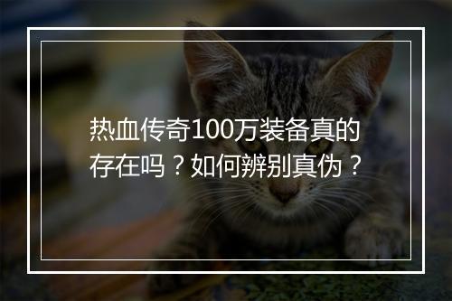热血传奇100万装备真的存在吗？如何辨别真伪？