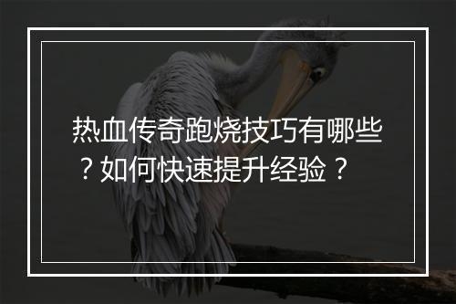 热血传奇跑烧技巧有哪些？如何快速提升经验？