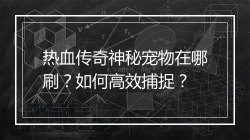 热血传奇神秘宠物在哪刷？如何高效捕捉？