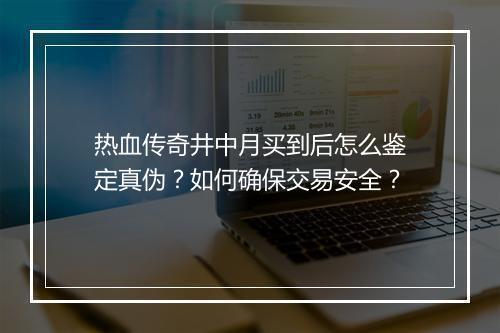热血传奇井中月买到后怎么鉴定真伪？如何确保交易安全？