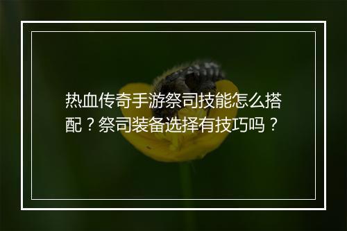 热血传奇手游祭司技能怎么搭配？祭司装备选择有技巧吗？