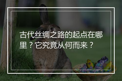 古代丝绸之路的起点在哪里？它究竟从何而来？