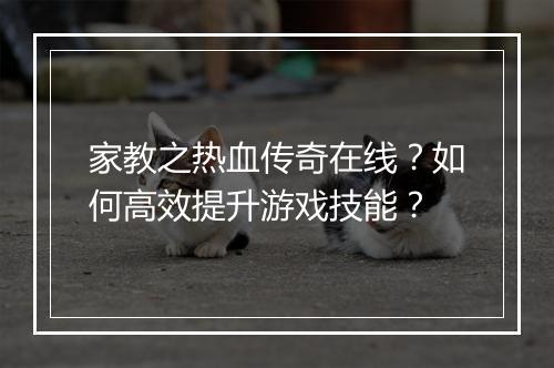 家教之热血传奇在线？如何高效提升游戏技能？