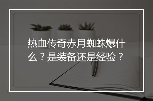 热血传奇赤月蜘蛛爆什么？是装备还是经验？