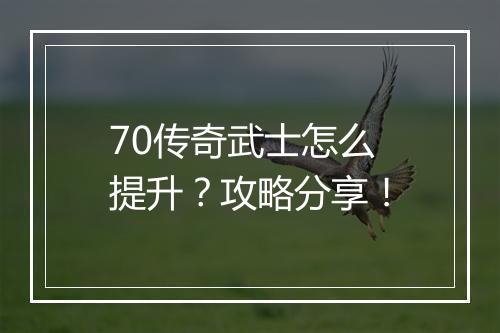 70传奇武士怎么提升？攻略分享！
