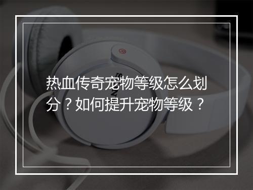 热血传奇宠物等级怎么划分？如何提升宠物等级？