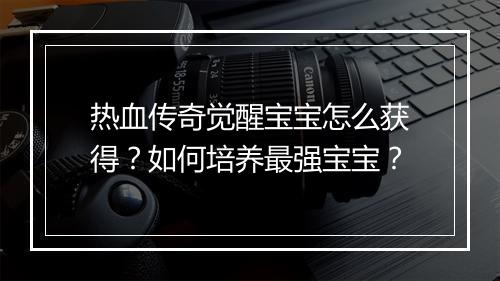热血传奇觉醒宝宝怎么获得？如何培养最强宝宝？