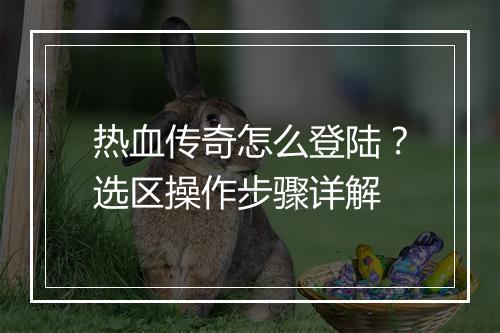 热血传奇怎么登陆？选区操作步骤详解