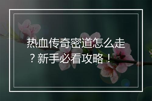 热血传奇密道怎么走？新手必看攻略！