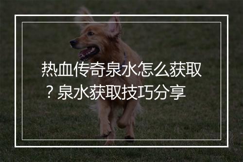 热血传奇泉水怎么获取？泉水获取技巧分享