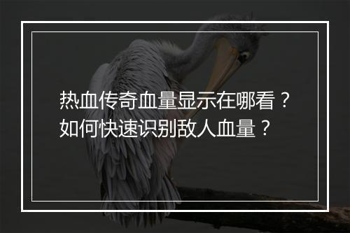 热血传奇血量显示在哪看？如何快速识别敌人血量？