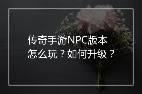 传奇手游NPC版本怎么玩？如何升级？