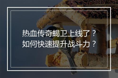 热血传奇蝎卫上线了？如何快速提升战斗力？
