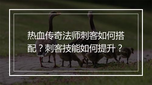 热血传奇法师刺客如何搭配？刺客技能如何提升？