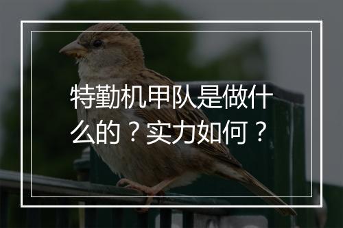 特勤机甲队是做什么的？实力如何？