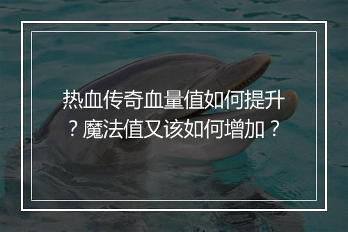 热血传奇血量值如何提升？魔法值又该如何增加？