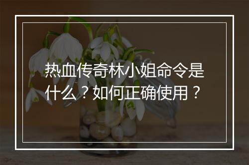 热血传奇林小姐命令是什么？如何正确使用？