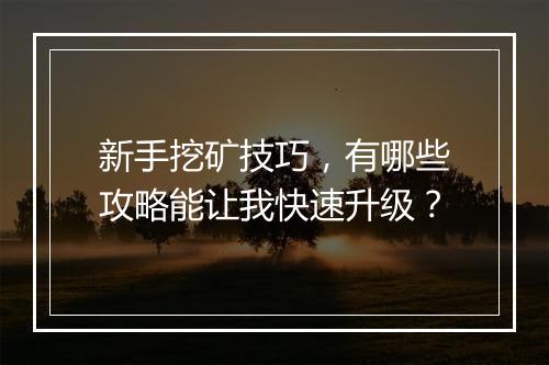 新手挖矿技巧，有哪些攻略能让我快速升级？