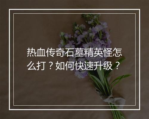 热血传奇石墓精英怪怎么打？如何快速升级？