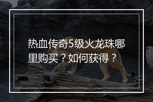 热血传奇5级火龙珠哪里购买？如何获得？