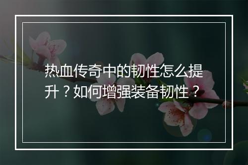 热血传奇中的韧性怎么提升？如何增强装备韧性？