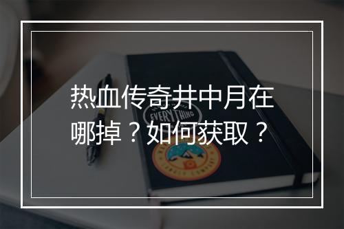 热血传奇井中月在哪掉?如何获取?