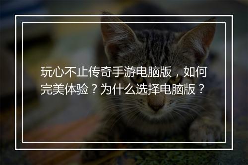 玩心不止传奇手游电脑版，如何完美体验？为什么选择电脑版？