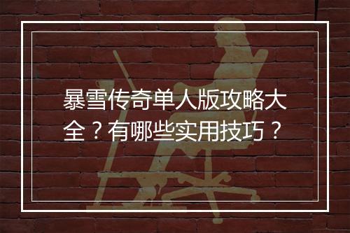 暴雪传奇单人版攻略大全？有哪些实用技巧？