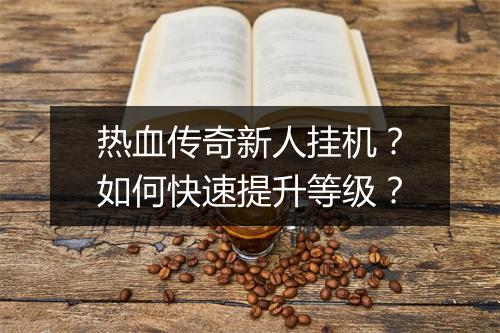 热血传奇新人挂机？如何快速提升等级？