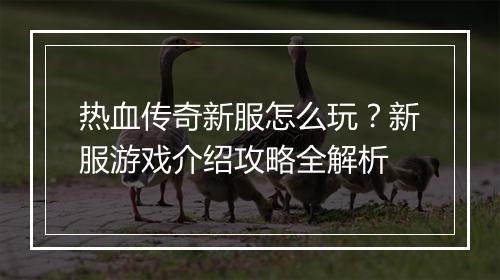 热血传奇新服怎么玩？新服游戏介绍攻略全解析