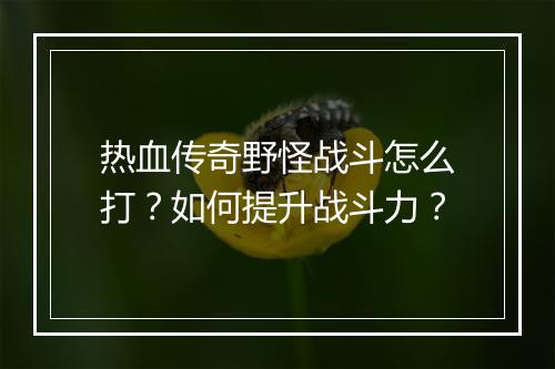 热血传奇野怪战斗怎么打？如何提升战斗力？