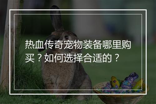 热血传奇宠物装备哪里购买？如何选择合适的？