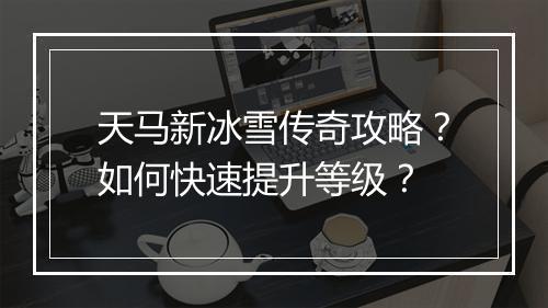 天马新冰雪传奇攻略？如何快速提升等级？