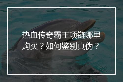 热血传奇霸王项链哪里购买？如何鉴别真伪？