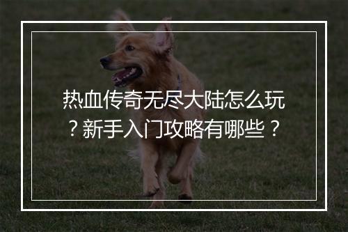 热血传奇无尽大陆怎么玩？新手入门攻略有哪些？