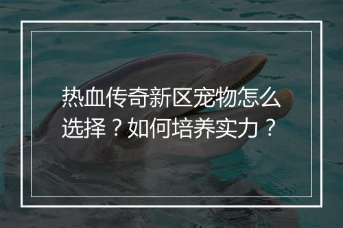 热血传奇新区宠物怎么选择？如何培养实力？